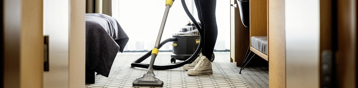 Carpet and upholstery cleaners 2